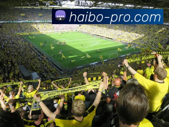 海博电竞专业平台生态图